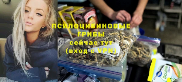 амф Алексеевка