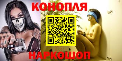 стаф Вязьма