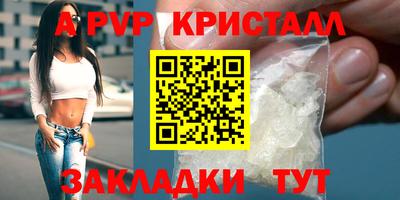 стаф Вязьма