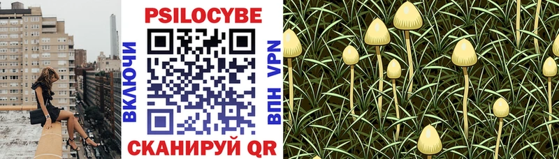 blacksprut ONION продажа наркотиков Переславль-Залесский Псилоцибиновые грибы MAGIC MUSHROOMS