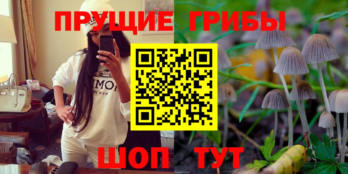 где купить наркоту  Псилоцибиновые грибы Magic Shrooms  Переславль-Залесский  Вход с VPN  Галлюциногенные грибы Cubensis 