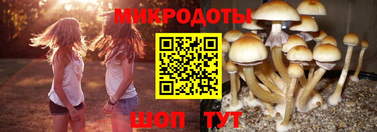 Галлюциногенные грибы Cubensis Переславль-Залесский