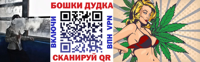 Бошки Шишки ГИДРОПОН Переславль-Залесский